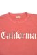 画像2: STEVENSON OVERALL CO./Graphic T-shirt California (2)