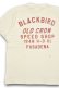 画像3: OLD CROW/BLACKBIRD-S/S T-SHIRTS (3)