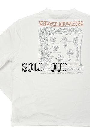 画像5: ROARK/"SEAWEED" L/S TEE